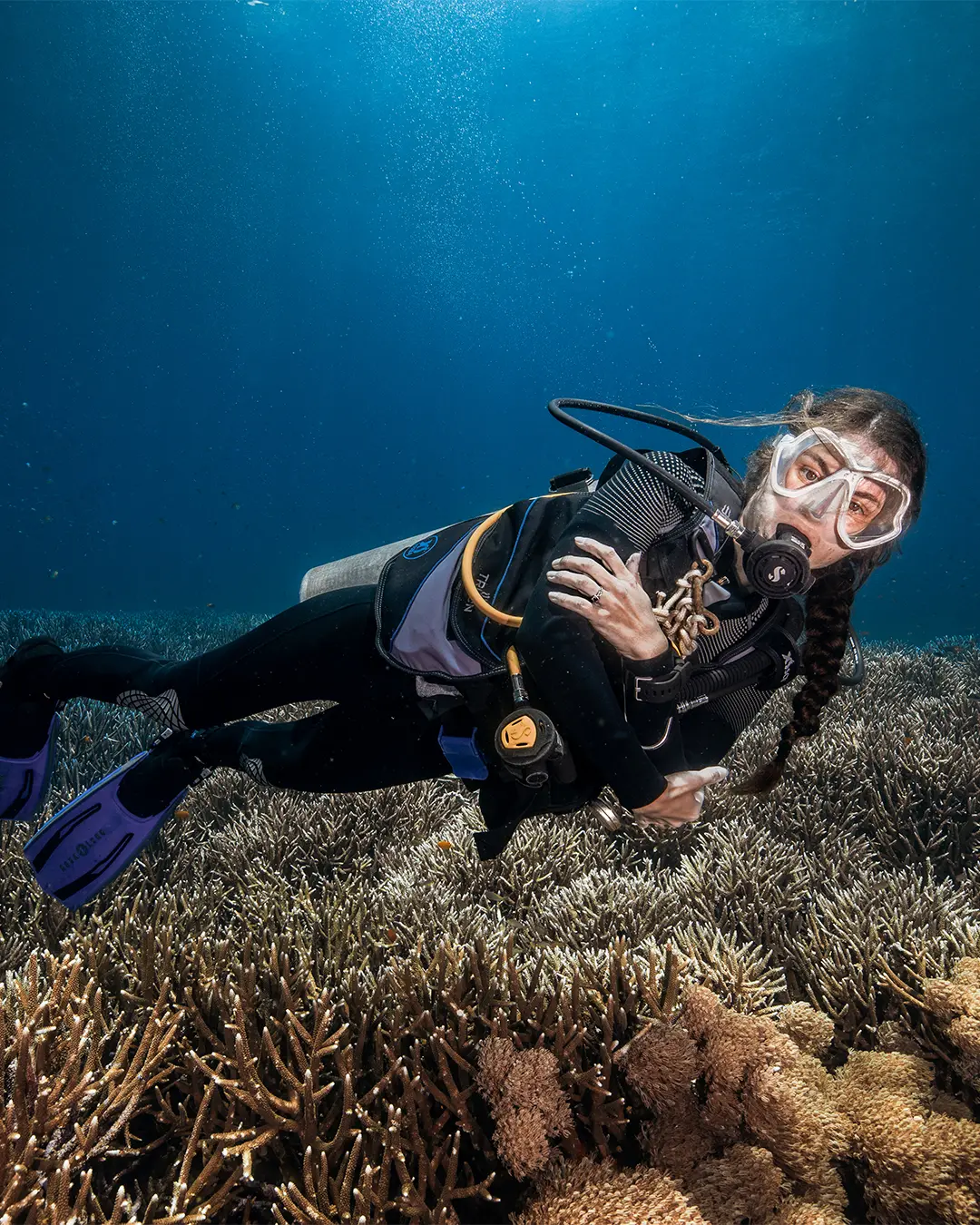 Female scuba divers exploring the vibrant marine life of Raja Ampat