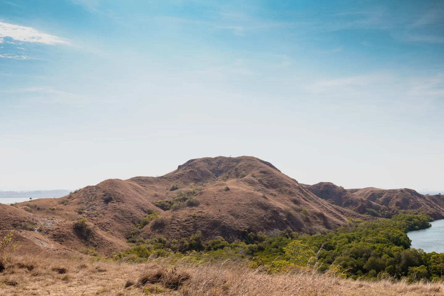 Exploring Rinca Island: Komodo Dragons, Wild Beauty & More 5 panoramic view Rinca Island