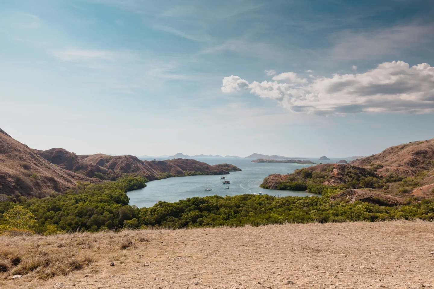 Exploring Rinca Island: Komodo Dragons, Wild Beauty & More 6 Yellow-ish White Sand Beach