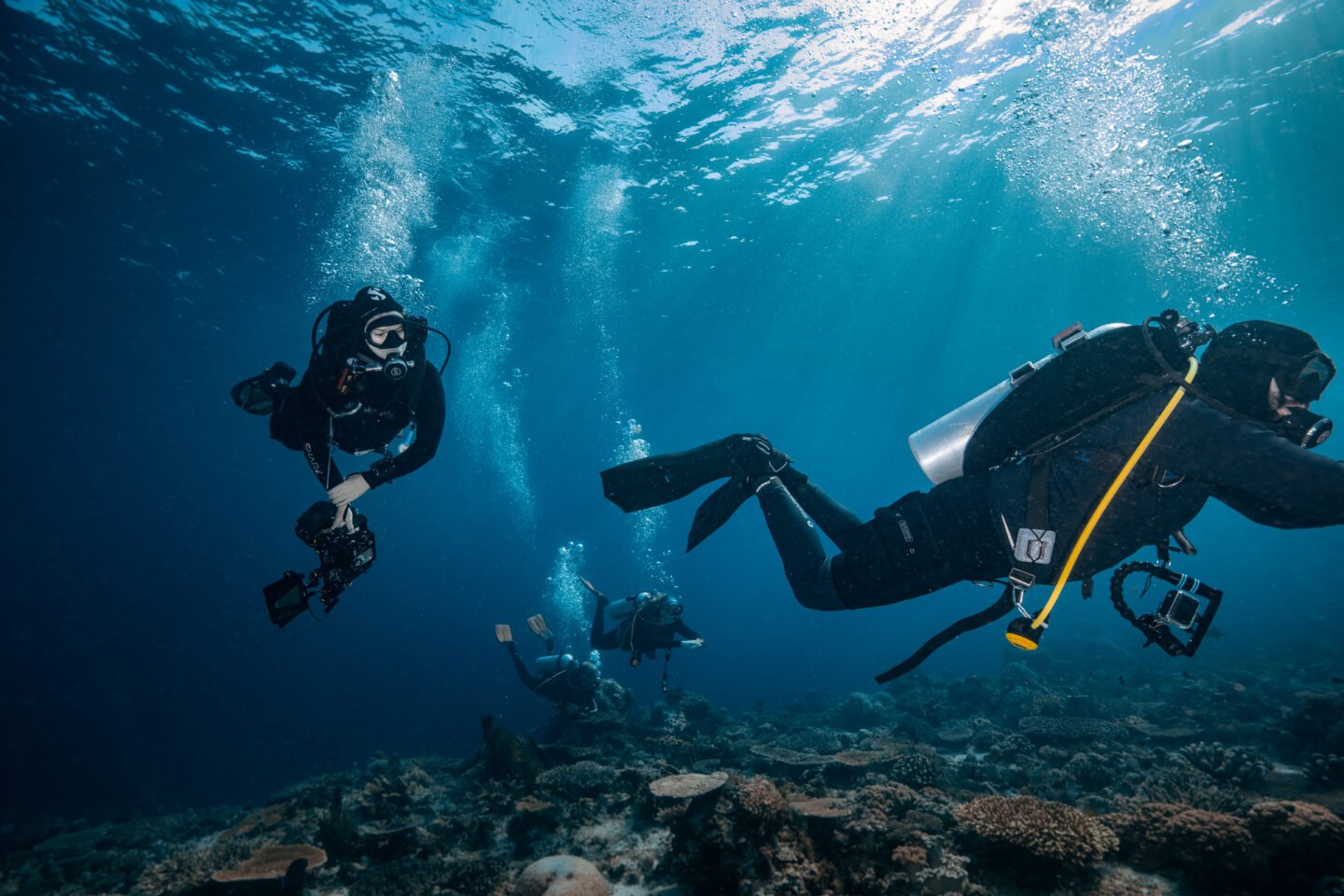 a group of scuba divers diving in Komodo National Park