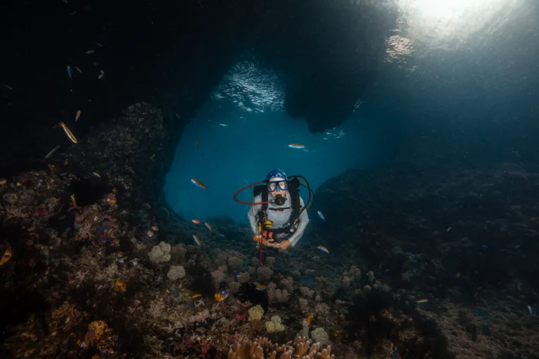 scuba diver diving in raja ampat