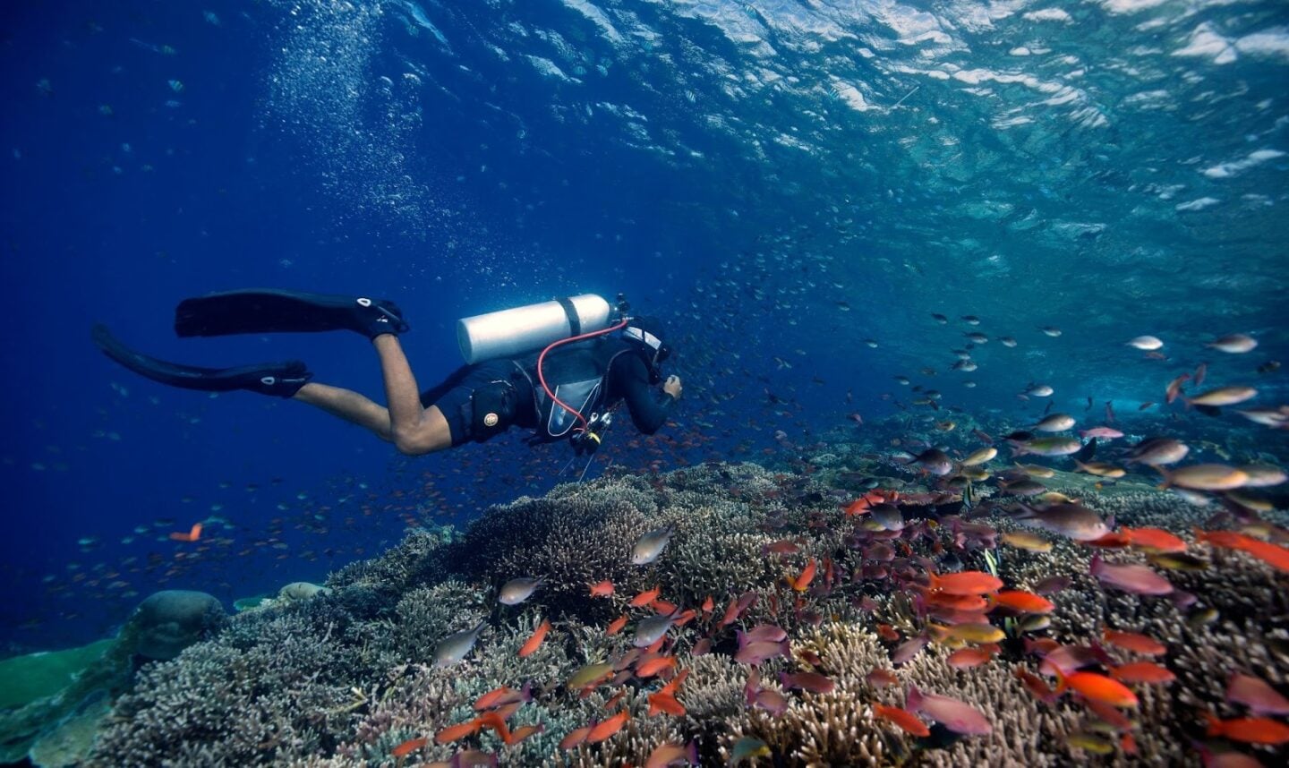 A diver exploring the reef alone in calm, clear water