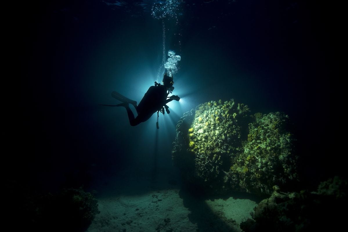 Diver using a torch while night diving on a coral reef near Yenbuba Village, Raja Ampat.