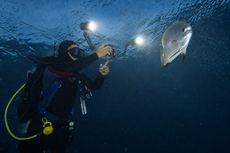 compact underwater strobes for dive photography